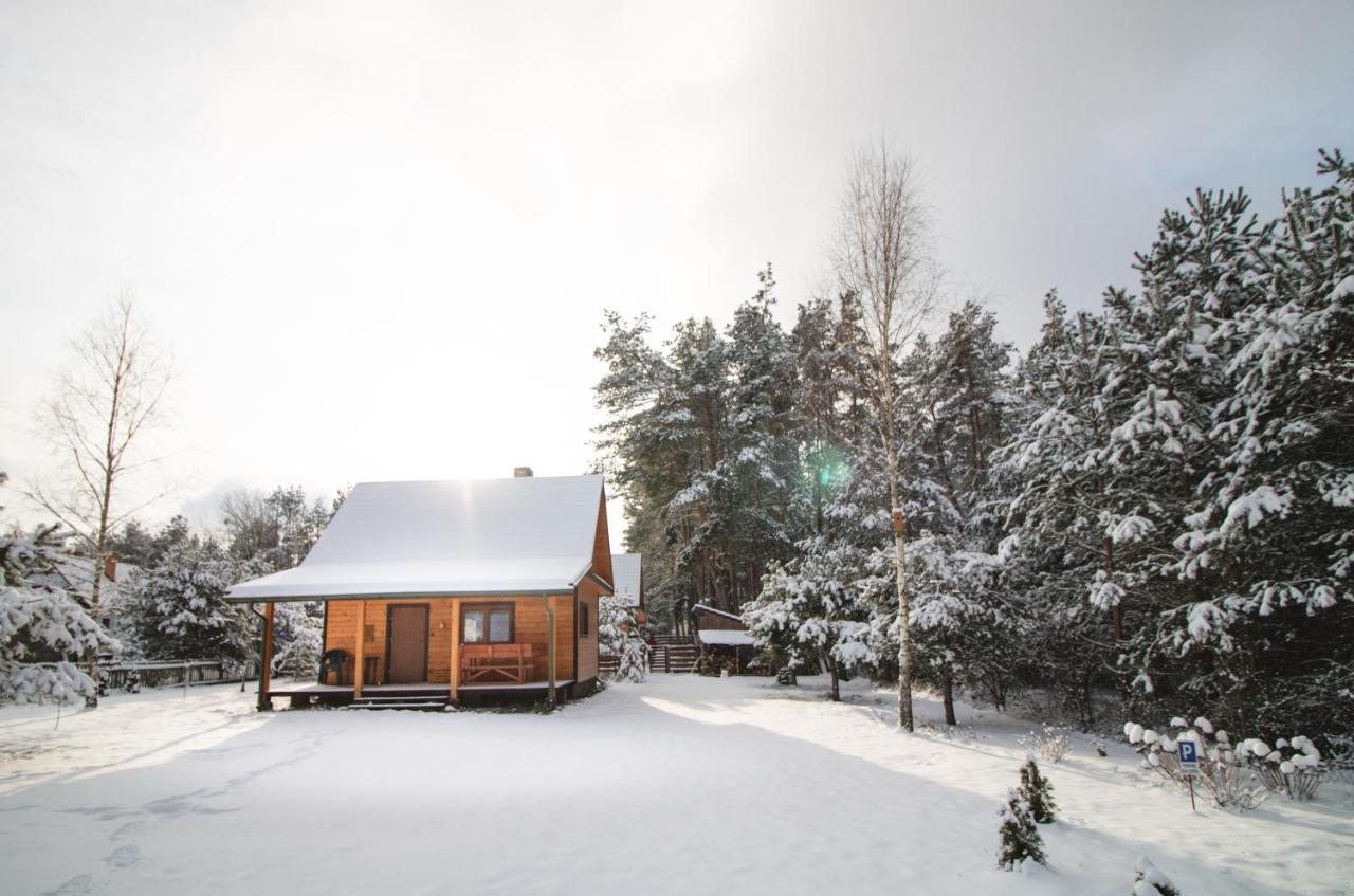 Villa Lesna 21 Dom Polnoc Przy Zalew Siemianowka Luka Exterior foto