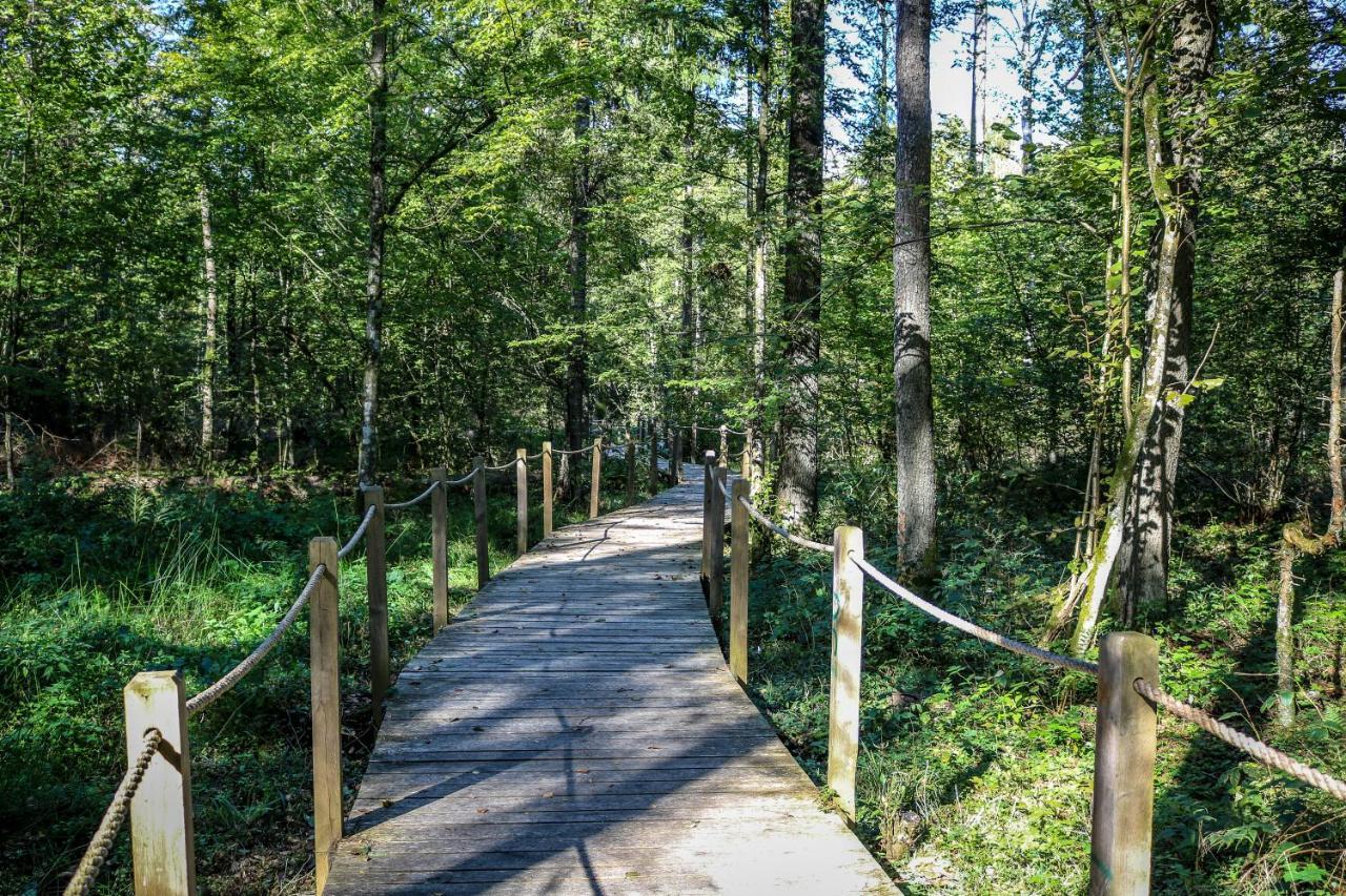 Villa Lesna 21 Dom Polnoc Przy Zalew Siemianowka Luka Exterior foto